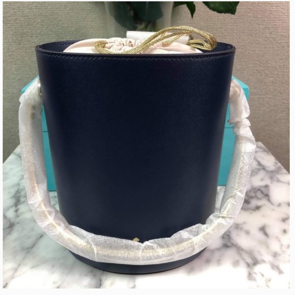 kate spade steal the spotlight champagne bucket bag purse nwt - Picture 12 of 12